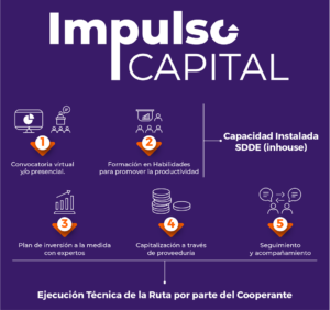 07jun2024impulsocapitalinfografíalandingproceso generalJR