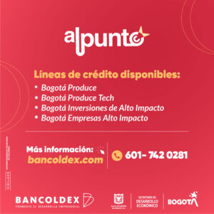 19-04_Piezas Al Punto - Pieza 5